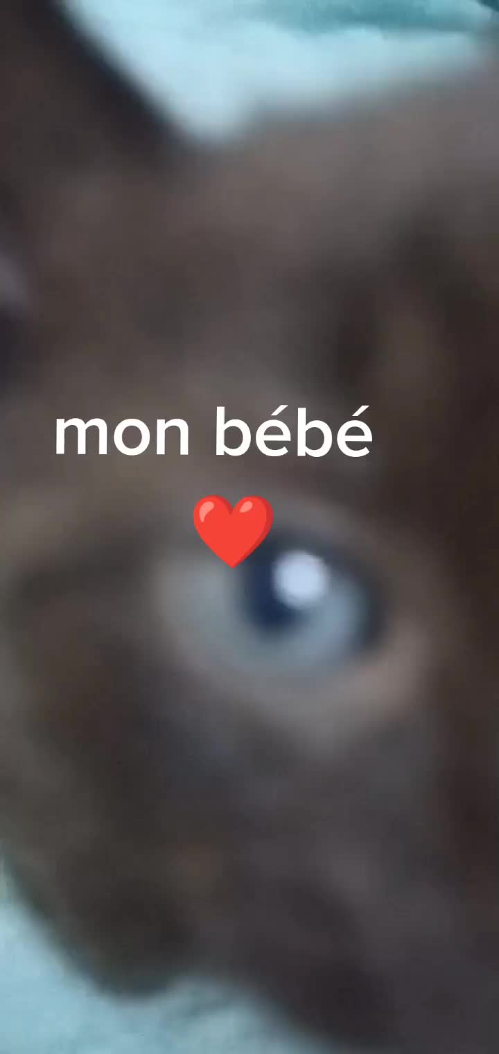 @Lehavre76