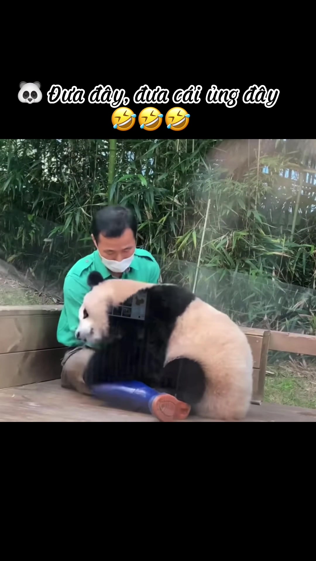 @hongnhungnguyen.2097