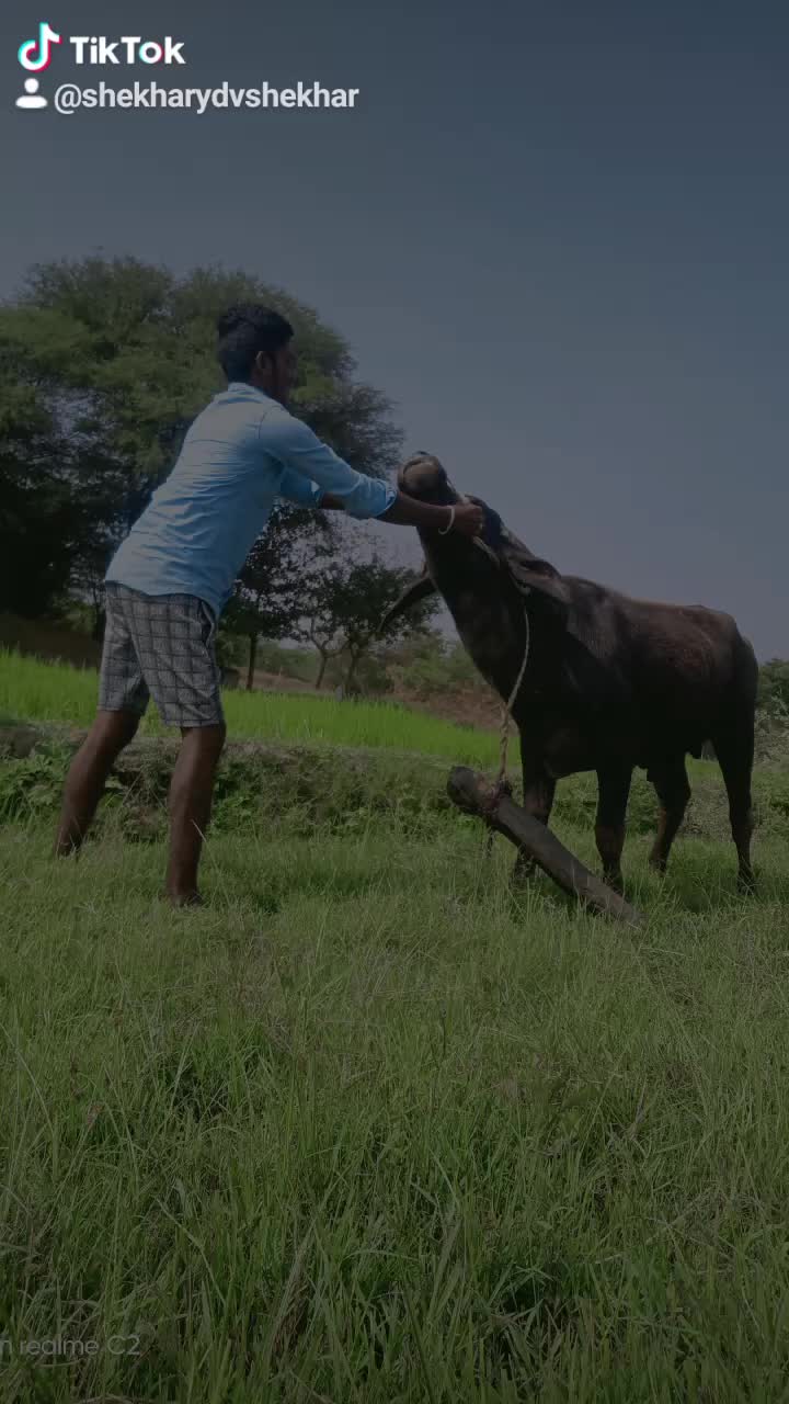 @user3322080759438