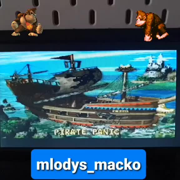 @mlodys_macko