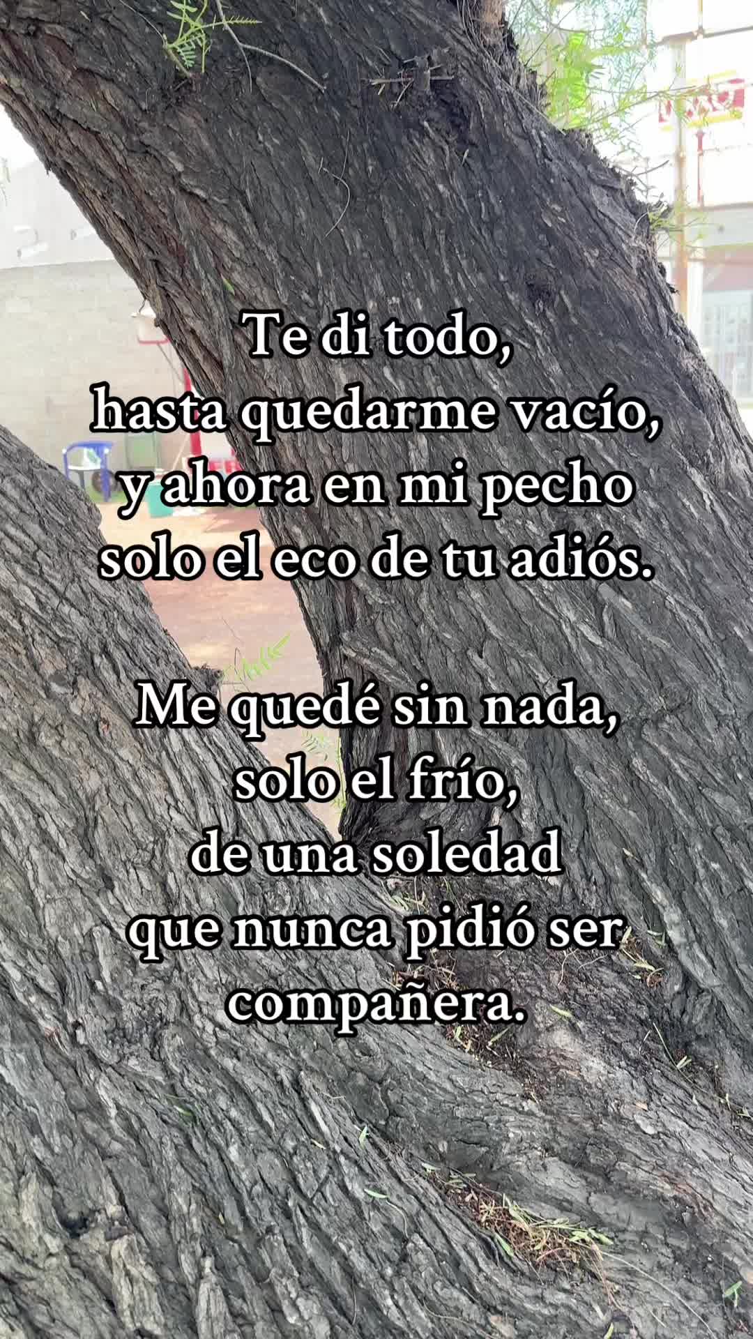 @Music Mx