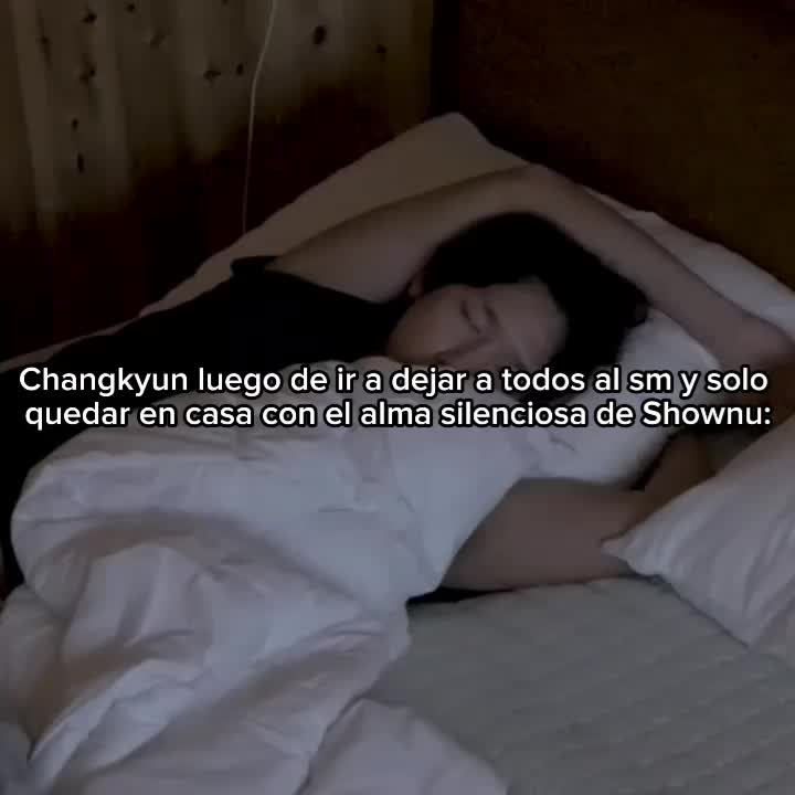 @shibebe 🫧