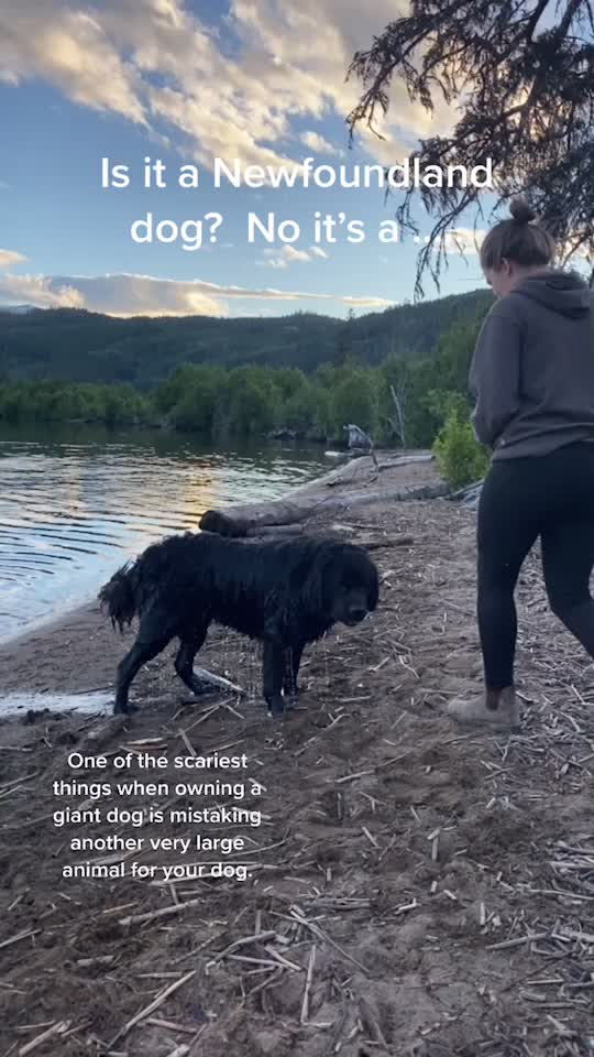 @kaska.olive.fira.roux