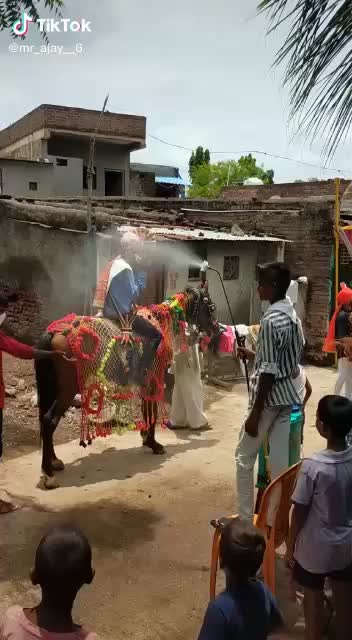 @rishabh tiktok india
