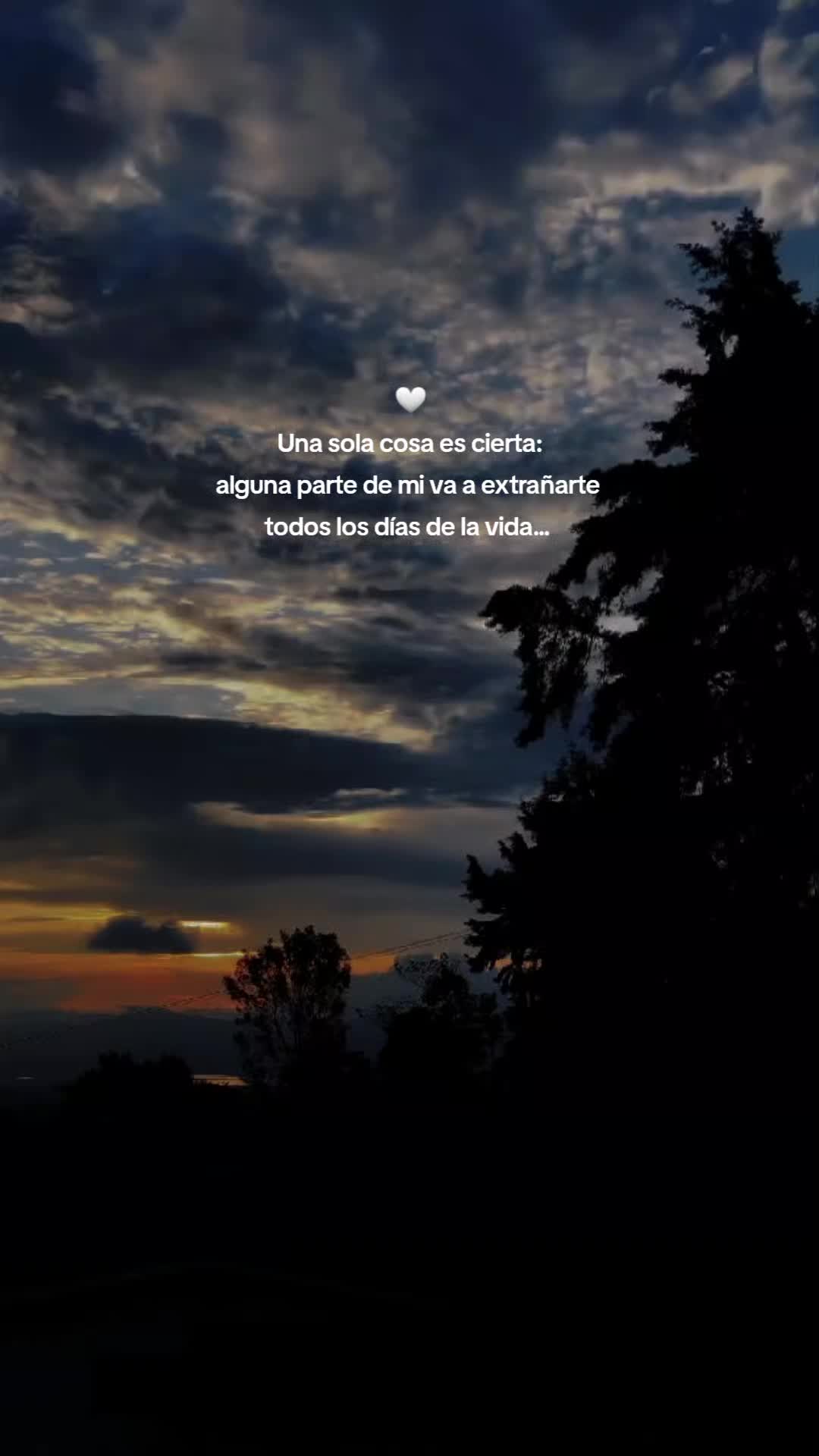 @Noches De Insomnio
