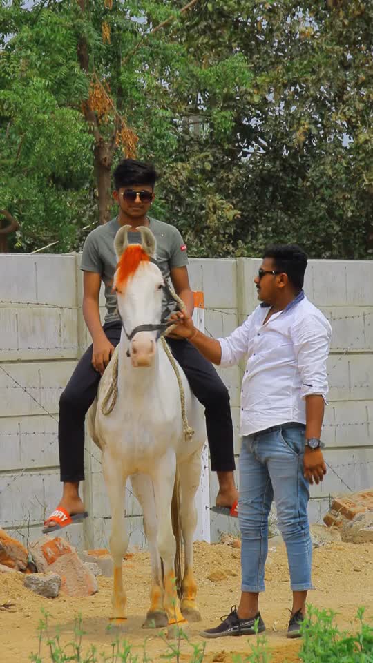 @Yuvibha Horse lover