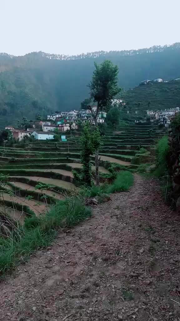 @❤️Pahadi Noni..❤️
