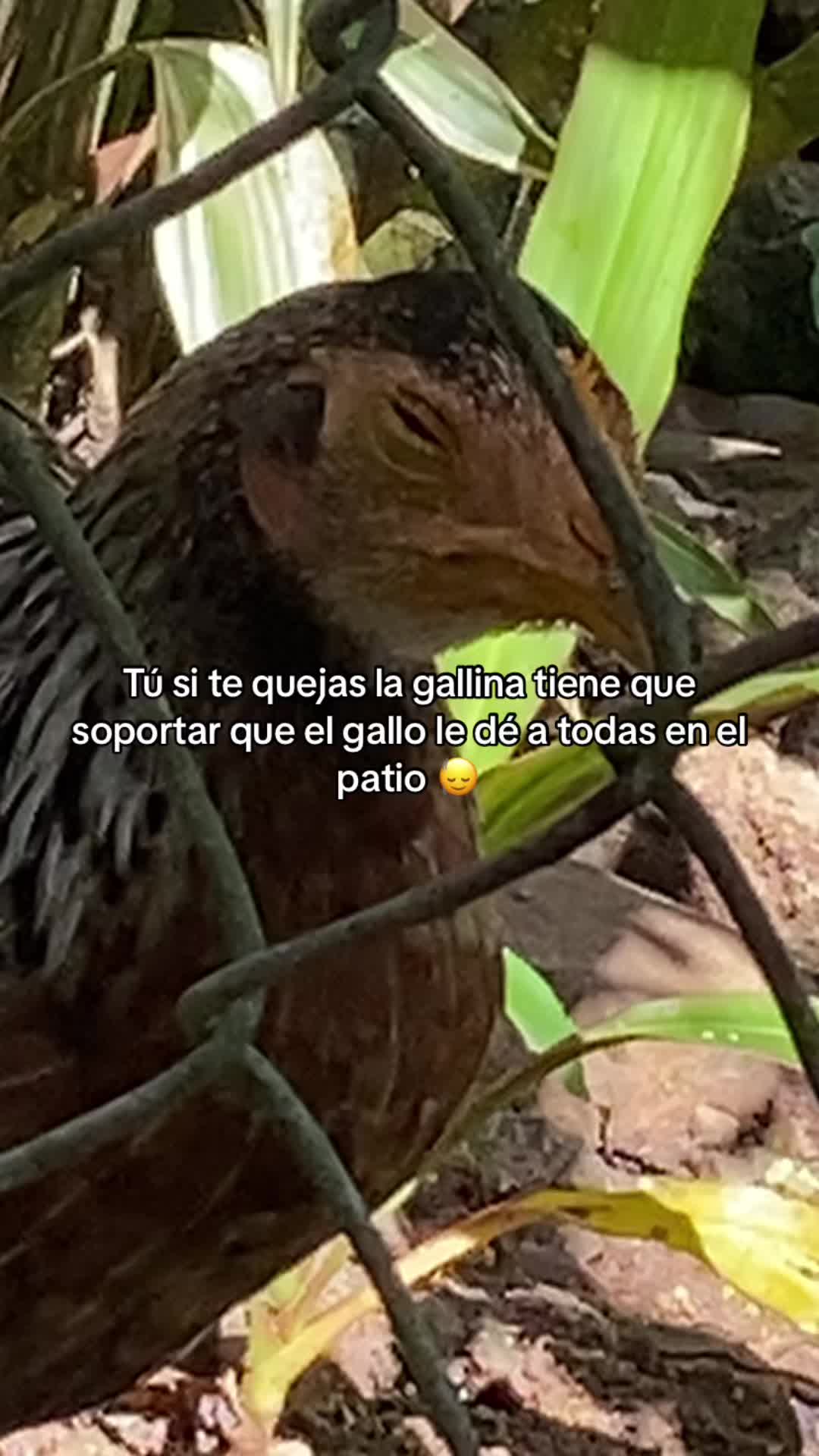 @Luci_jfs