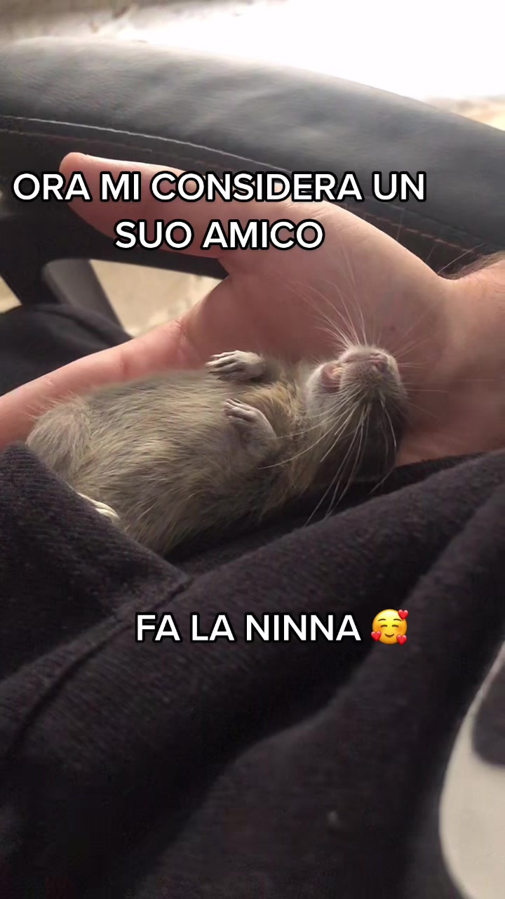@Official_fake