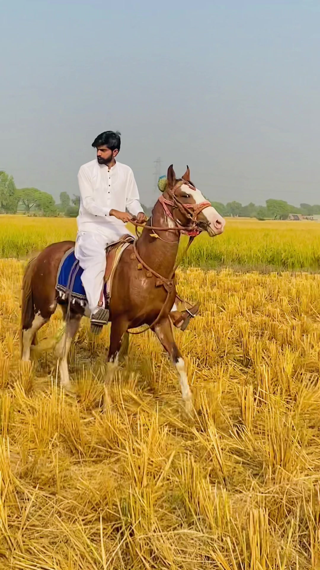 @Chaudhry Ali Nisar🇵🇰