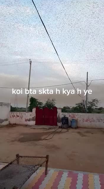 @valmiki boy jlp