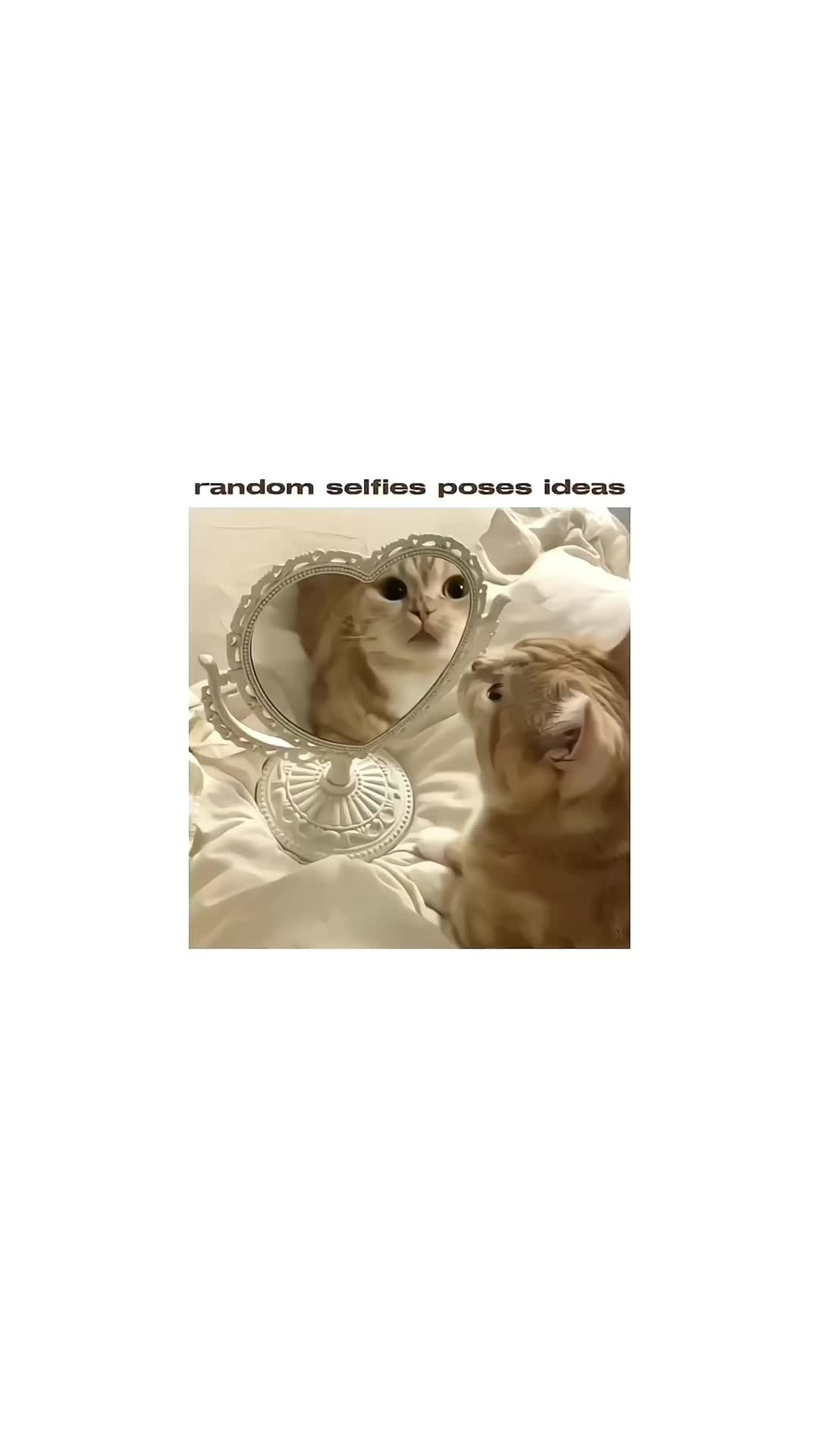 @faye