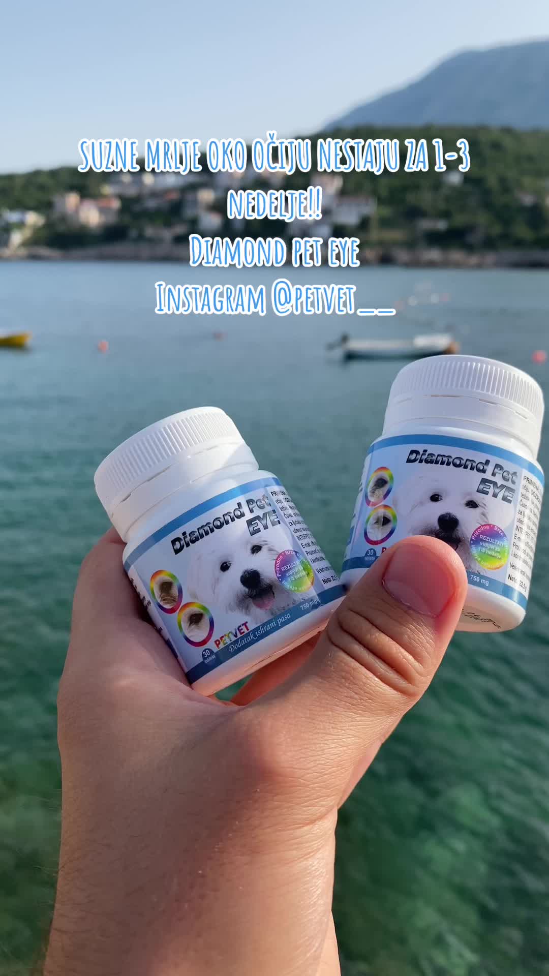 @Petvet