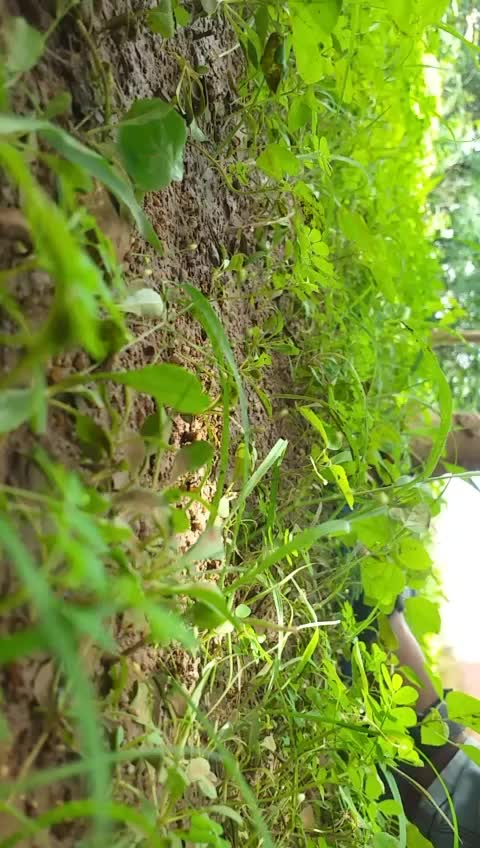 @Vijay Sairahul
