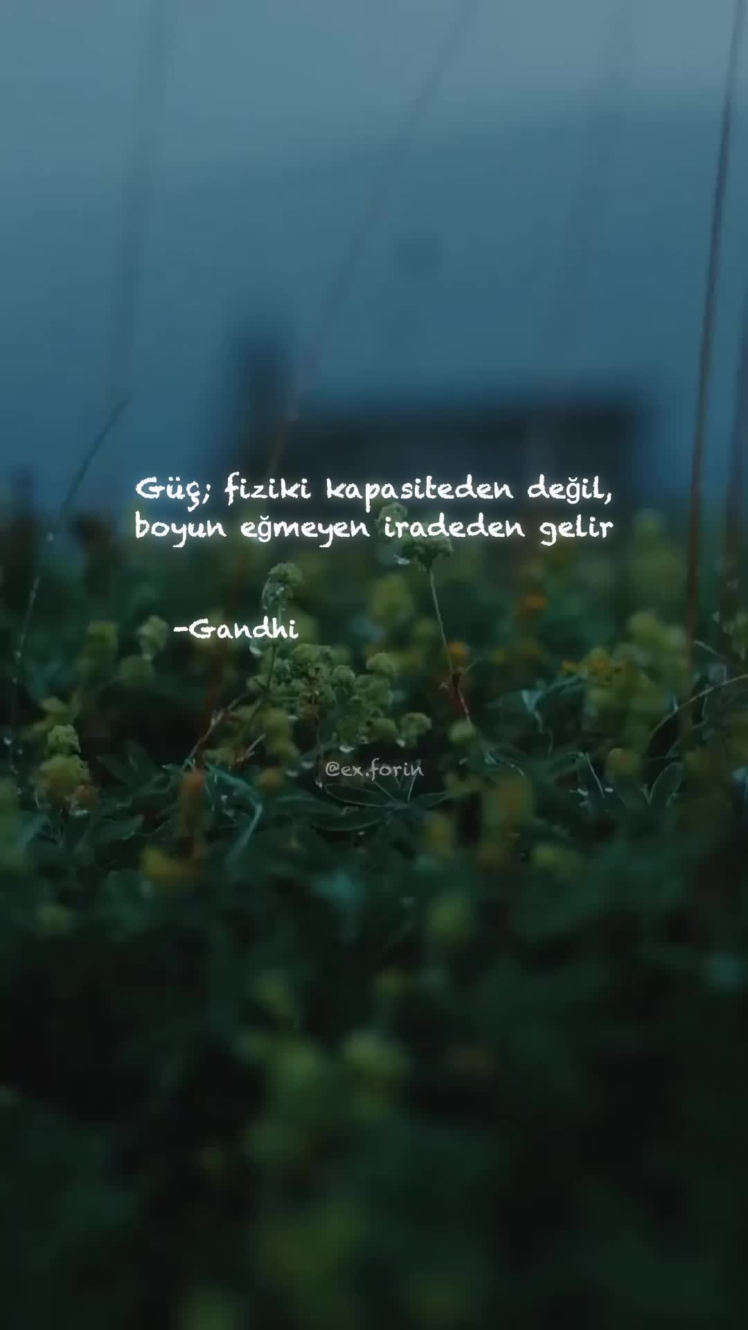 @exforin