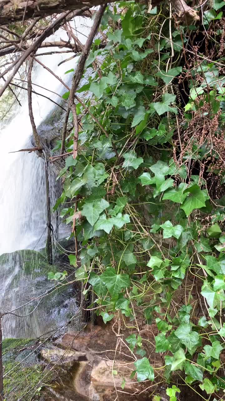 @PNW-Hikes