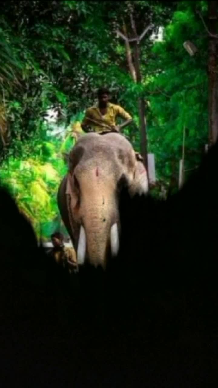@ashin achoottan