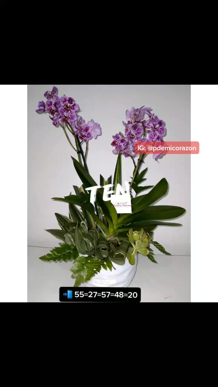@pedacito de mi corazón