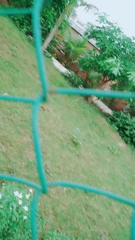 @user05908129851