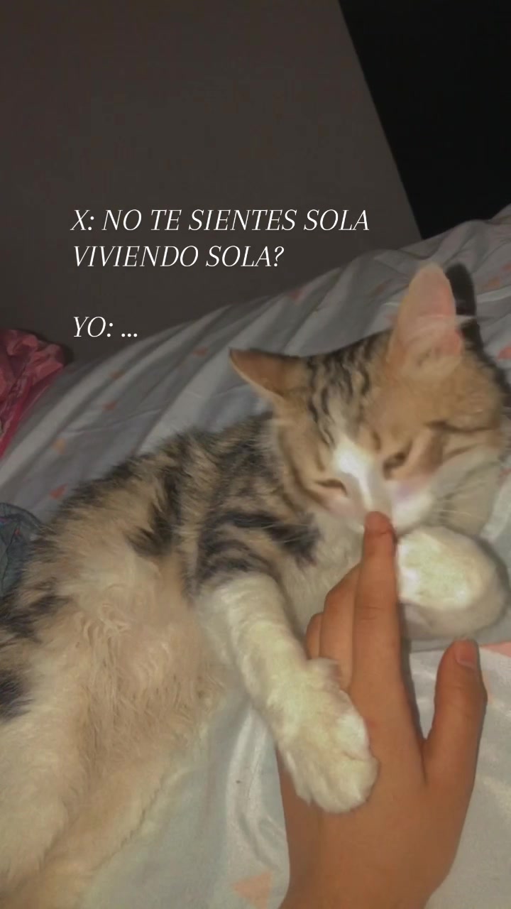 @Joselyn de tu coraz&oacute;n