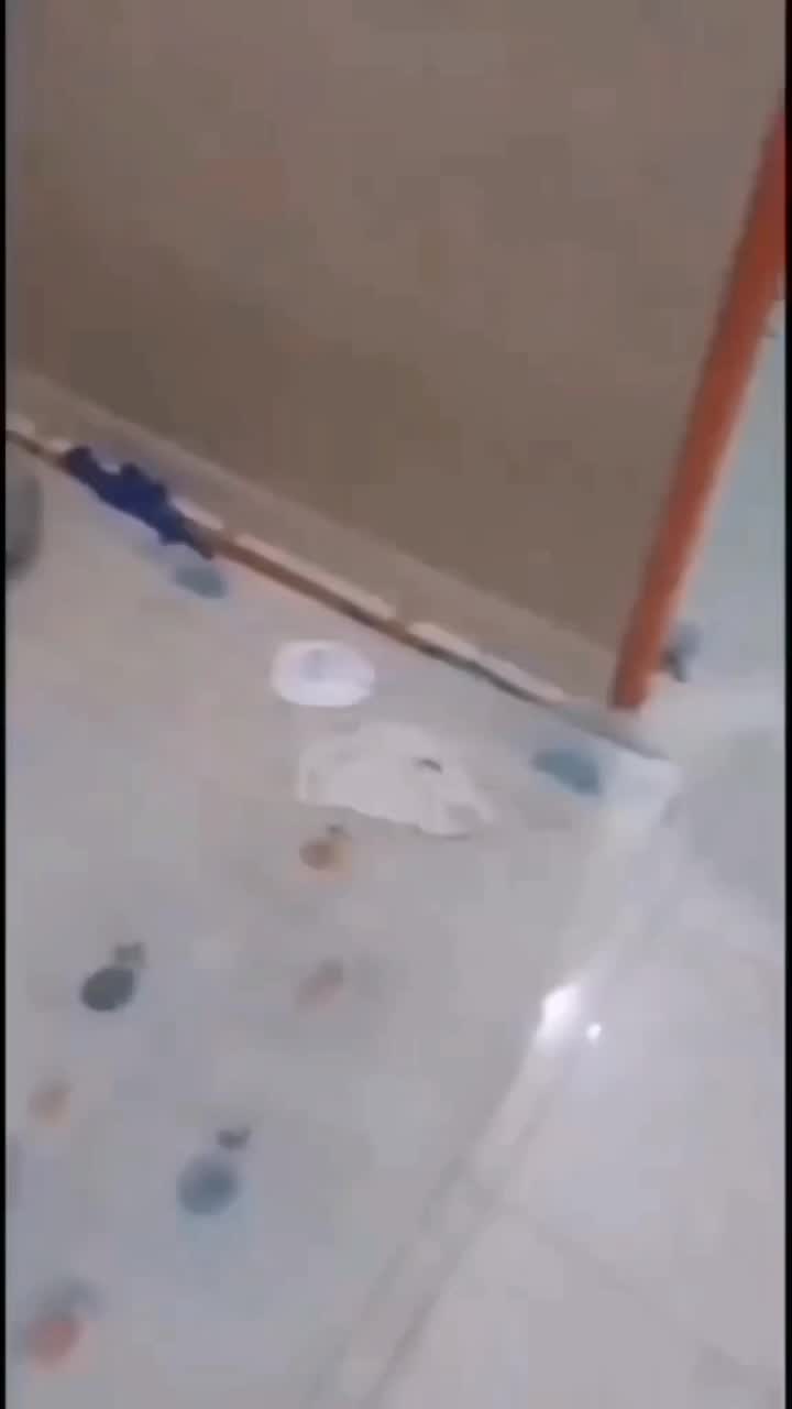 @Angelo Il Leone