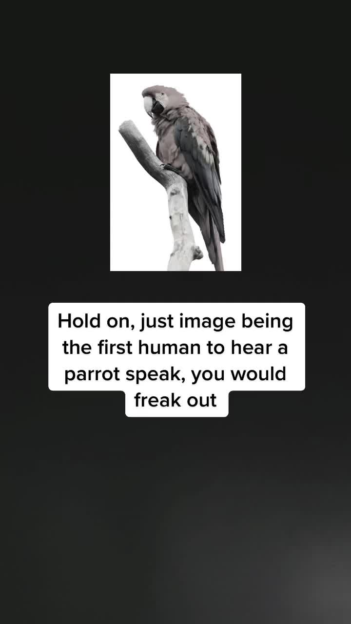 @𝐻𝑖𝑔ℎ 𝑇ℎ𝑜𝑢𝑔ℎ𝑡𝑠𝑃𝑎𝑔𝑒
