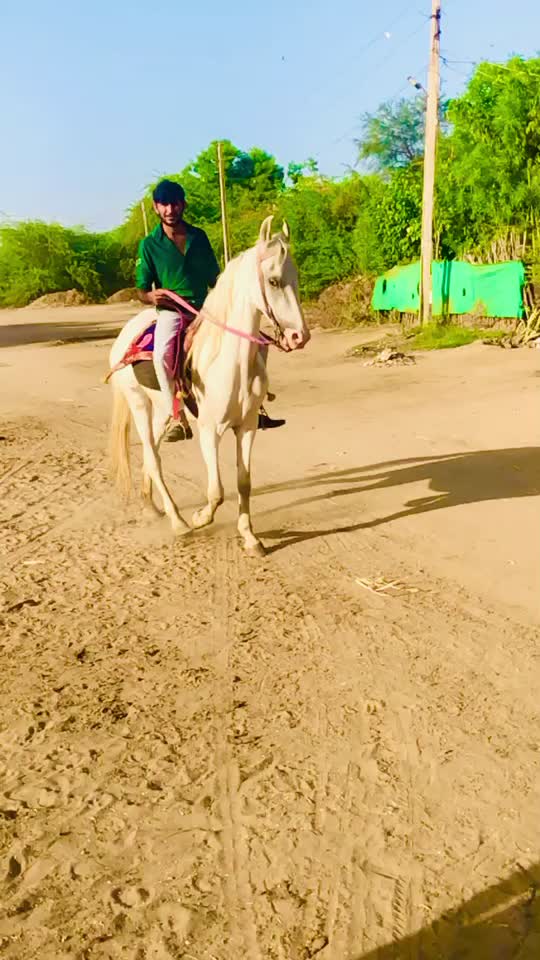 @Vipul Desai