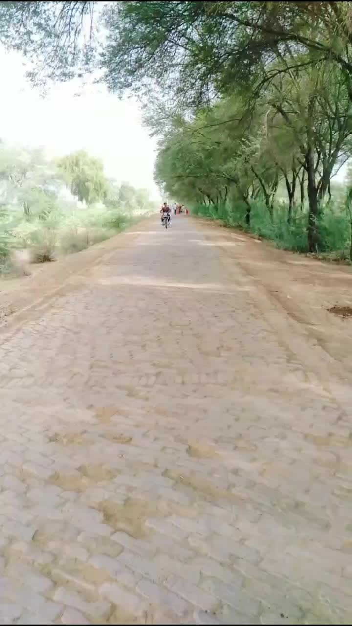 @gourav rajvi