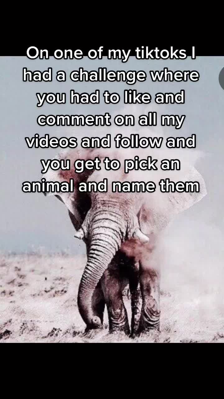 @Cute pet names