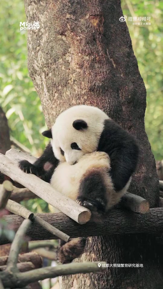 @Ởđ&acirc;yc&oacute;sựđ&aacute;ngiucủa HoaHoa 🌸