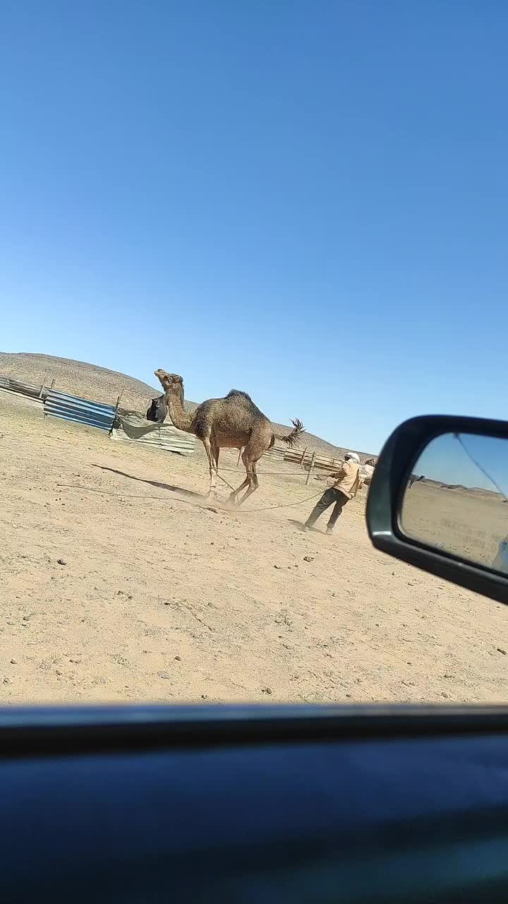 @ضعنا 🤪 يا 🤪جدي