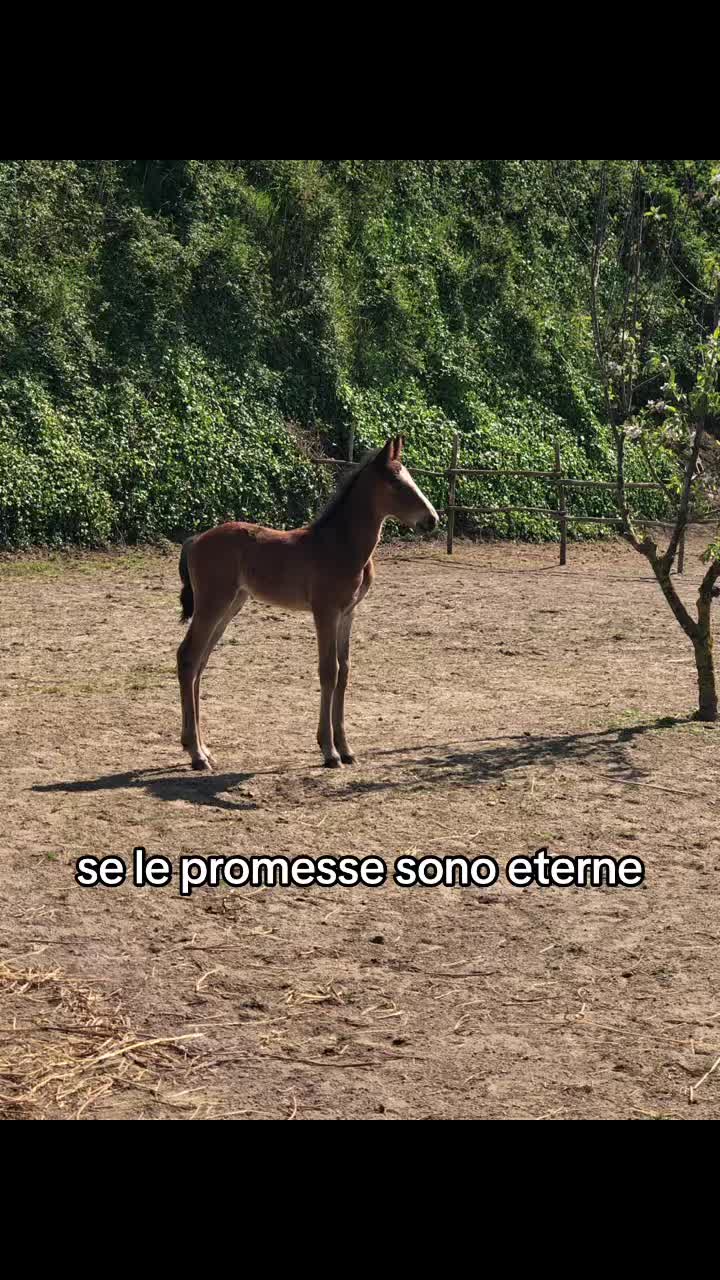 @Demí🦋🩵