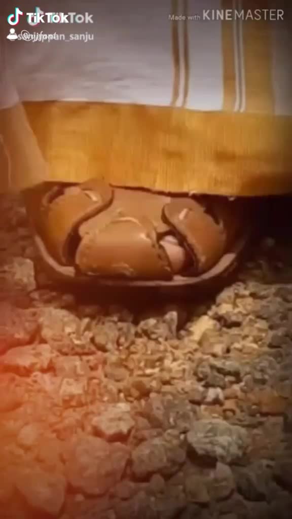 @ദളപതി ഭ്രാന്തൻ