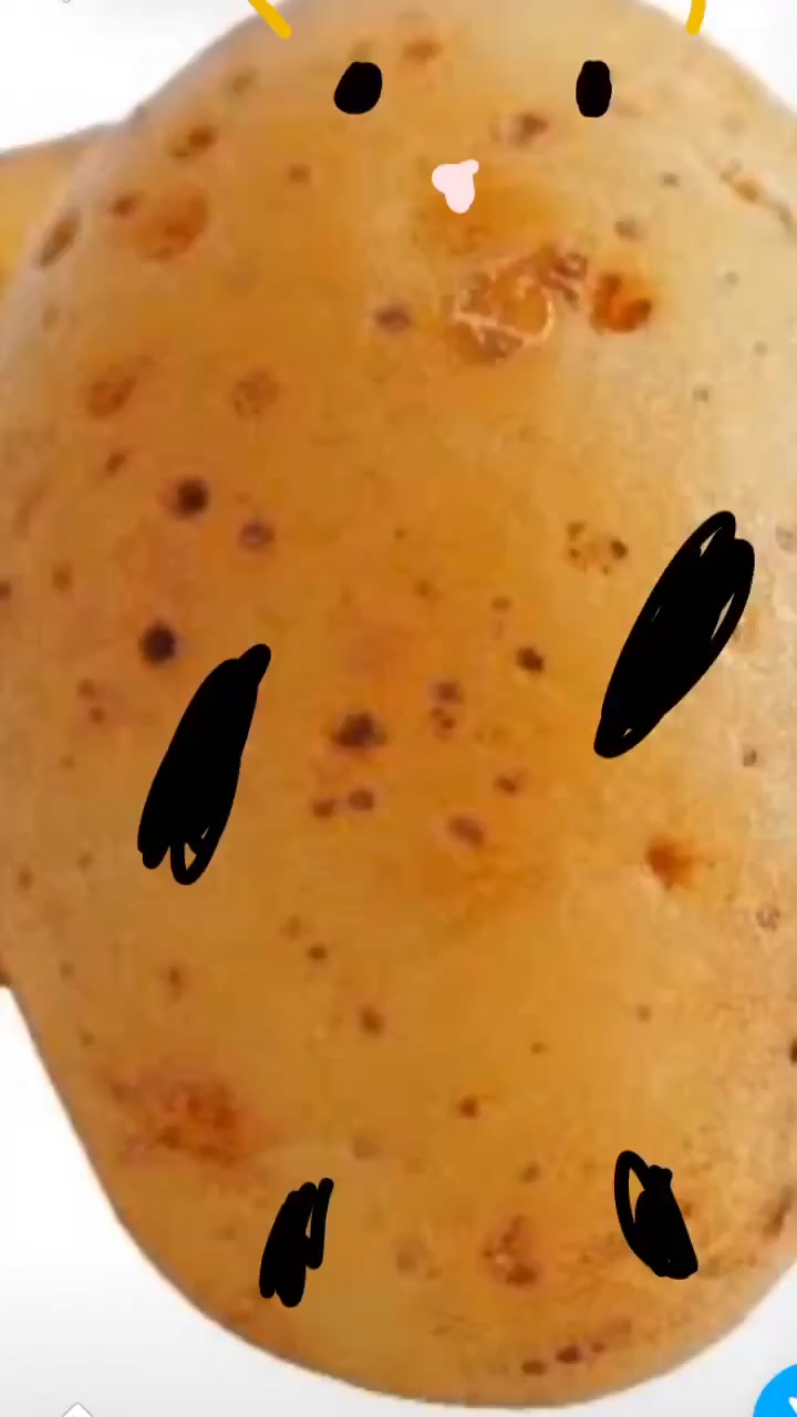 @Pop_corn_the_hamo