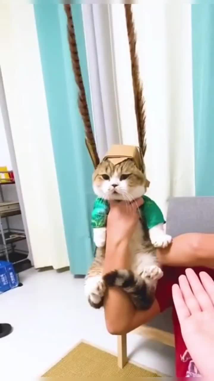 @leonupetpet