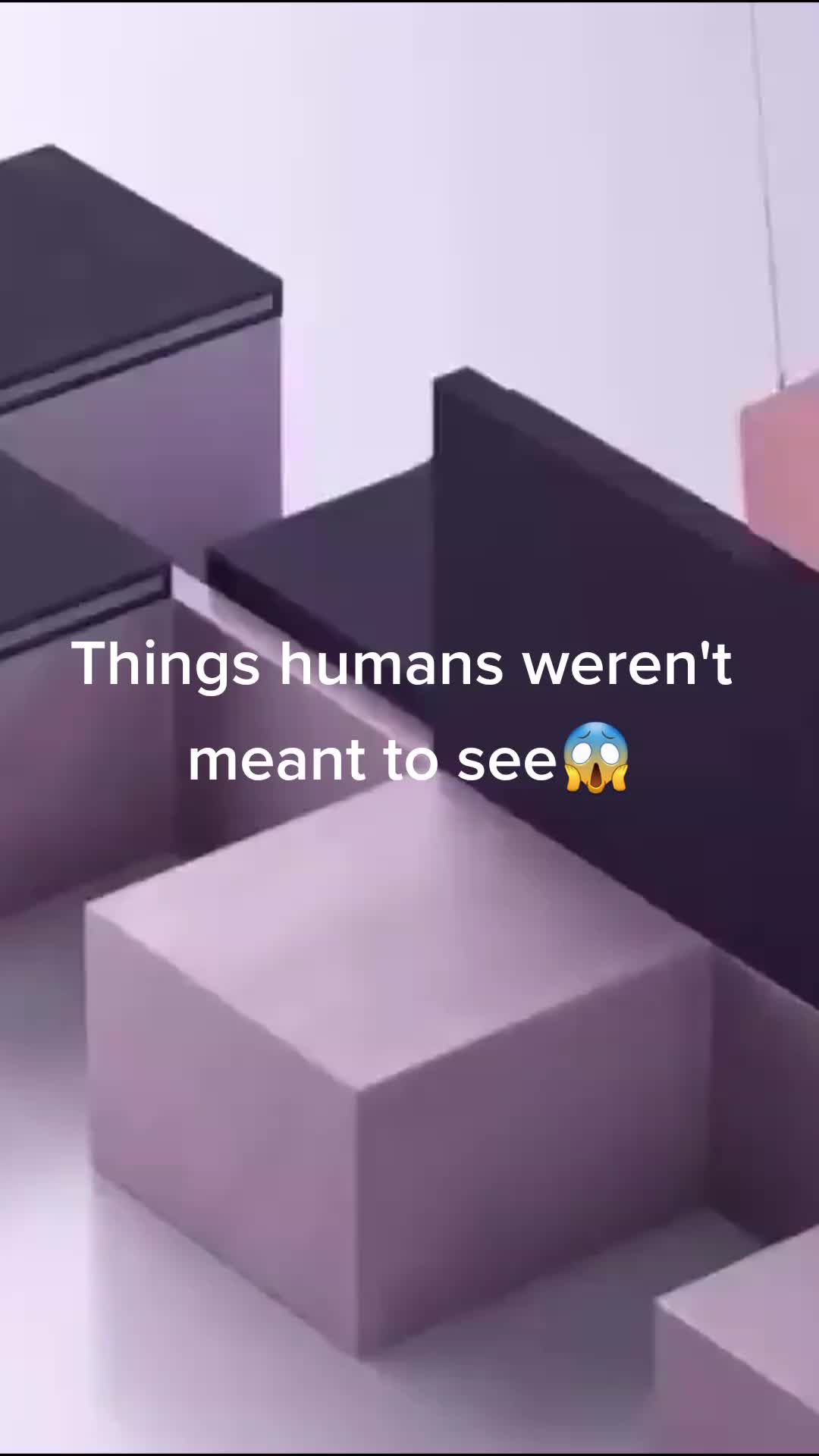 @LovingNature