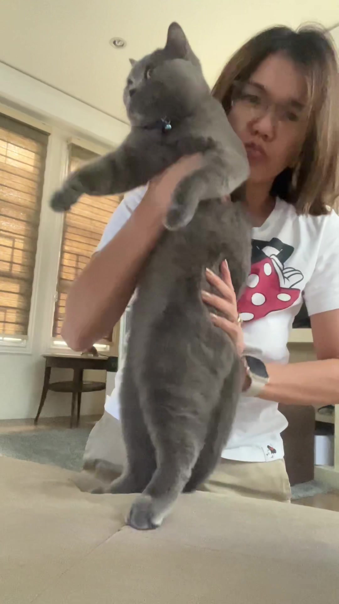 @BecauseCats