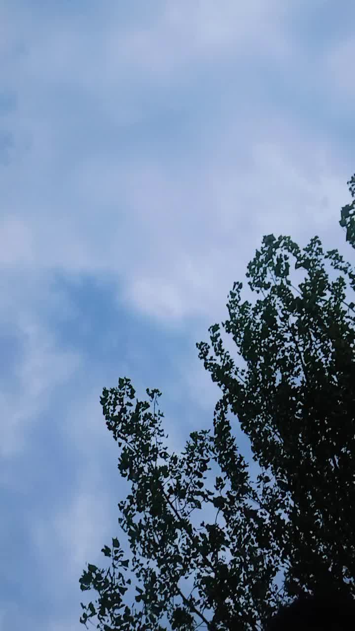 @𝙎𝙖𝙢𝙢𝙮_❤