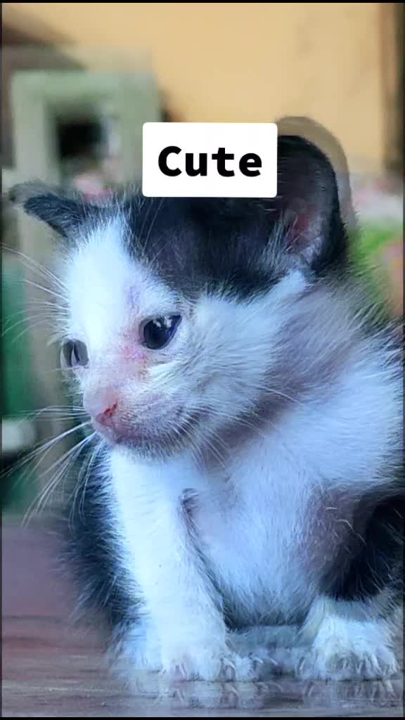 @lukman shekh