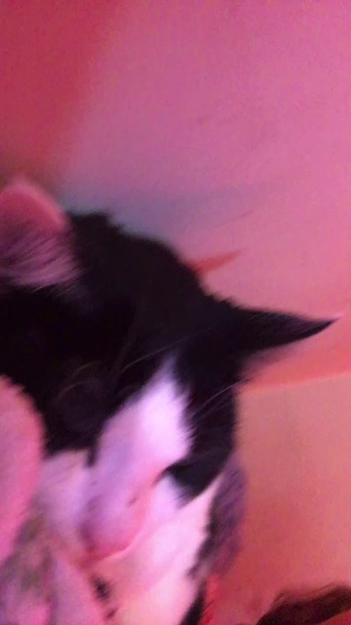@😺😺