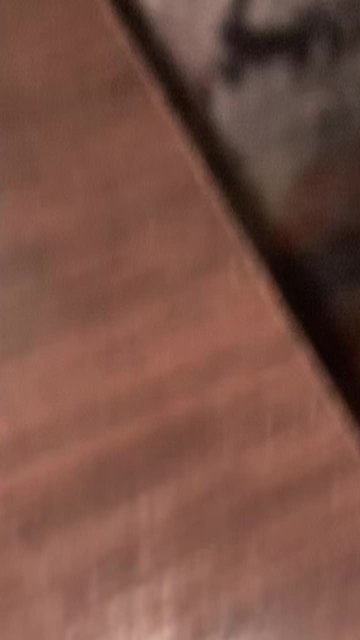@palundrra