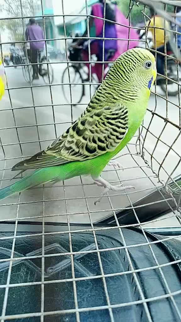@user282634