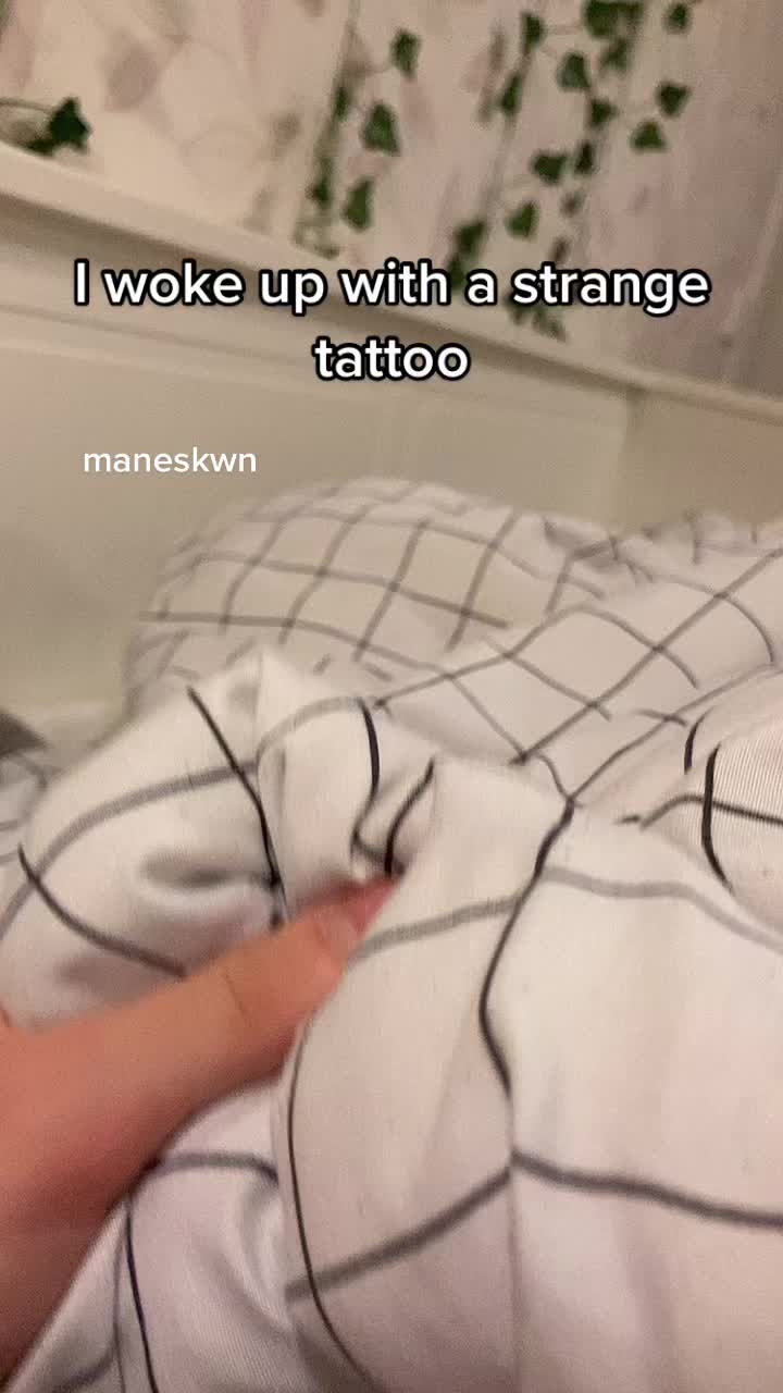 @maneskwn