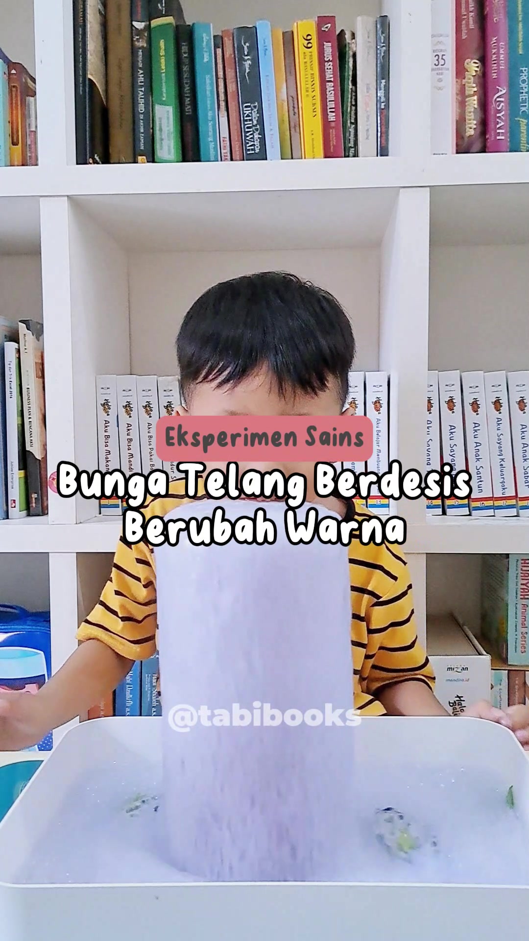 @bunda nizam | tabibooks