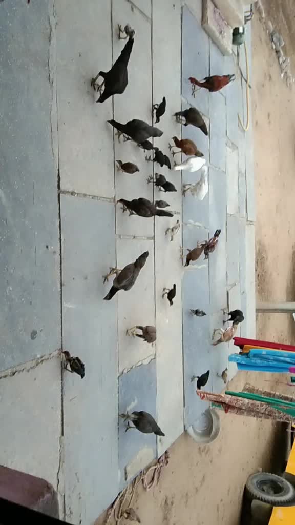 @user6768174254441