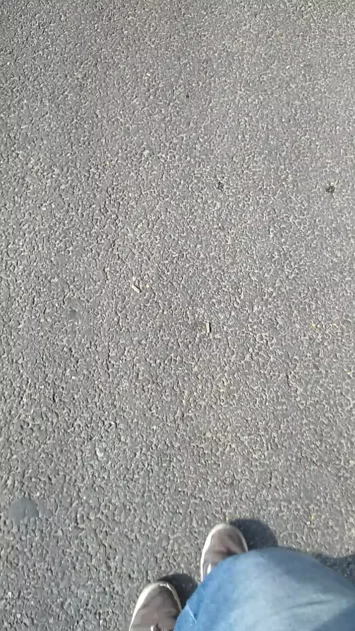 @webdibhy24j