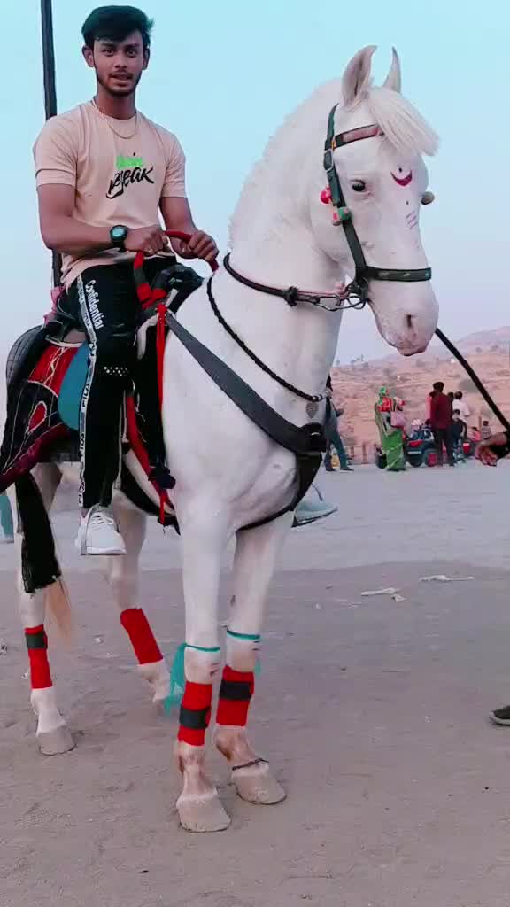 @Shaikh Sohel