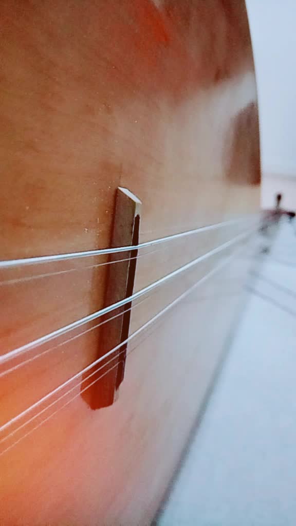 @fazlisahin66