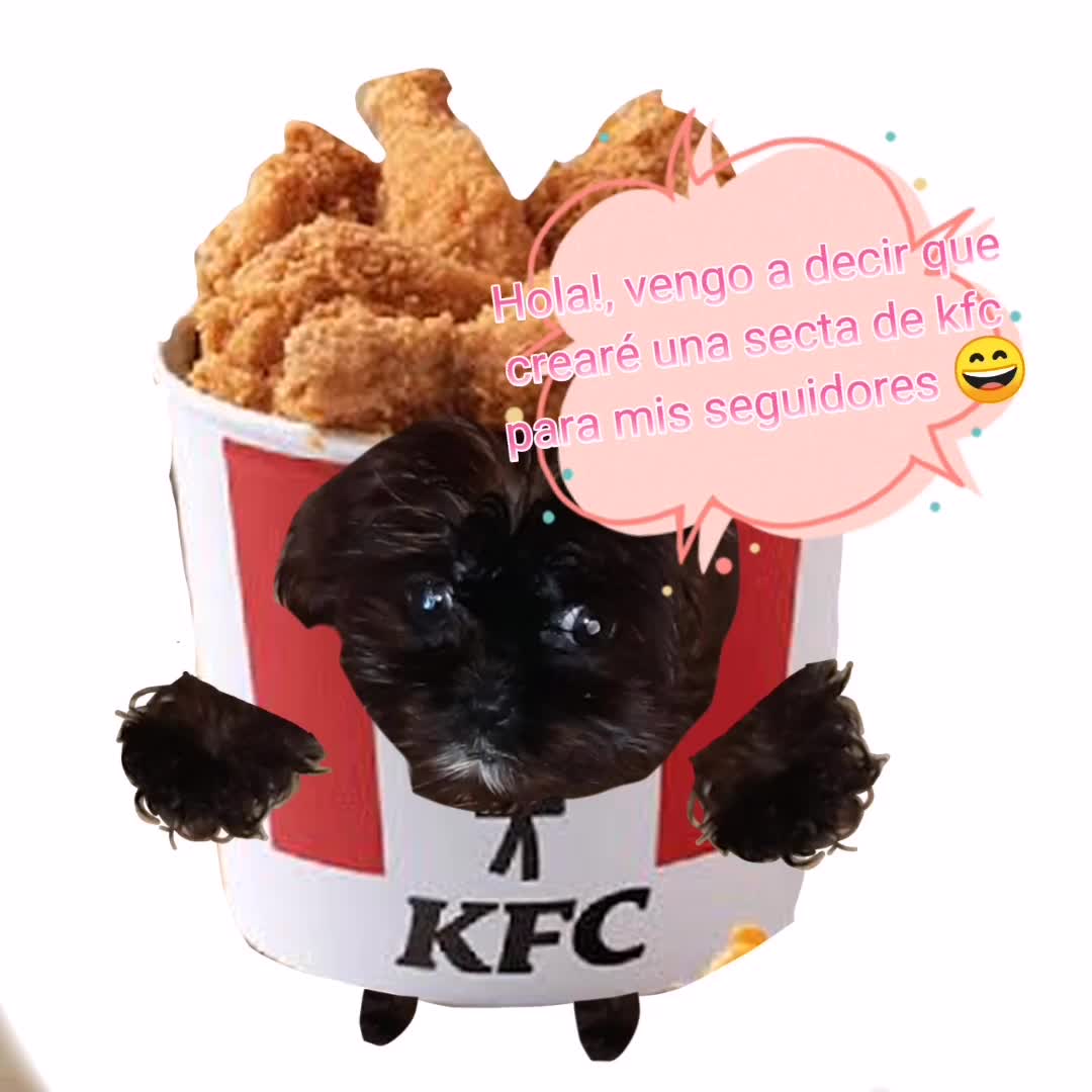 @🐕Meta : 90K