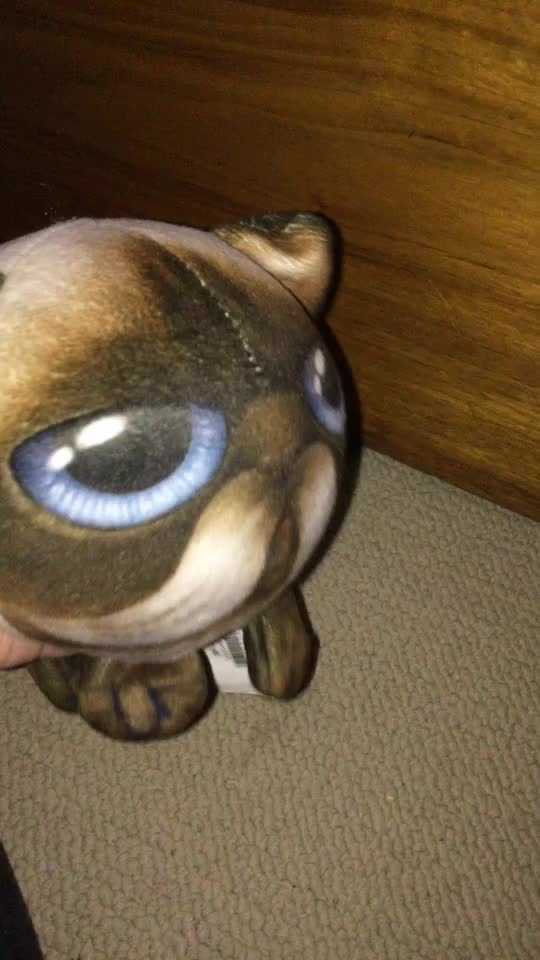 @Plushes/stuffy&rsquo;s